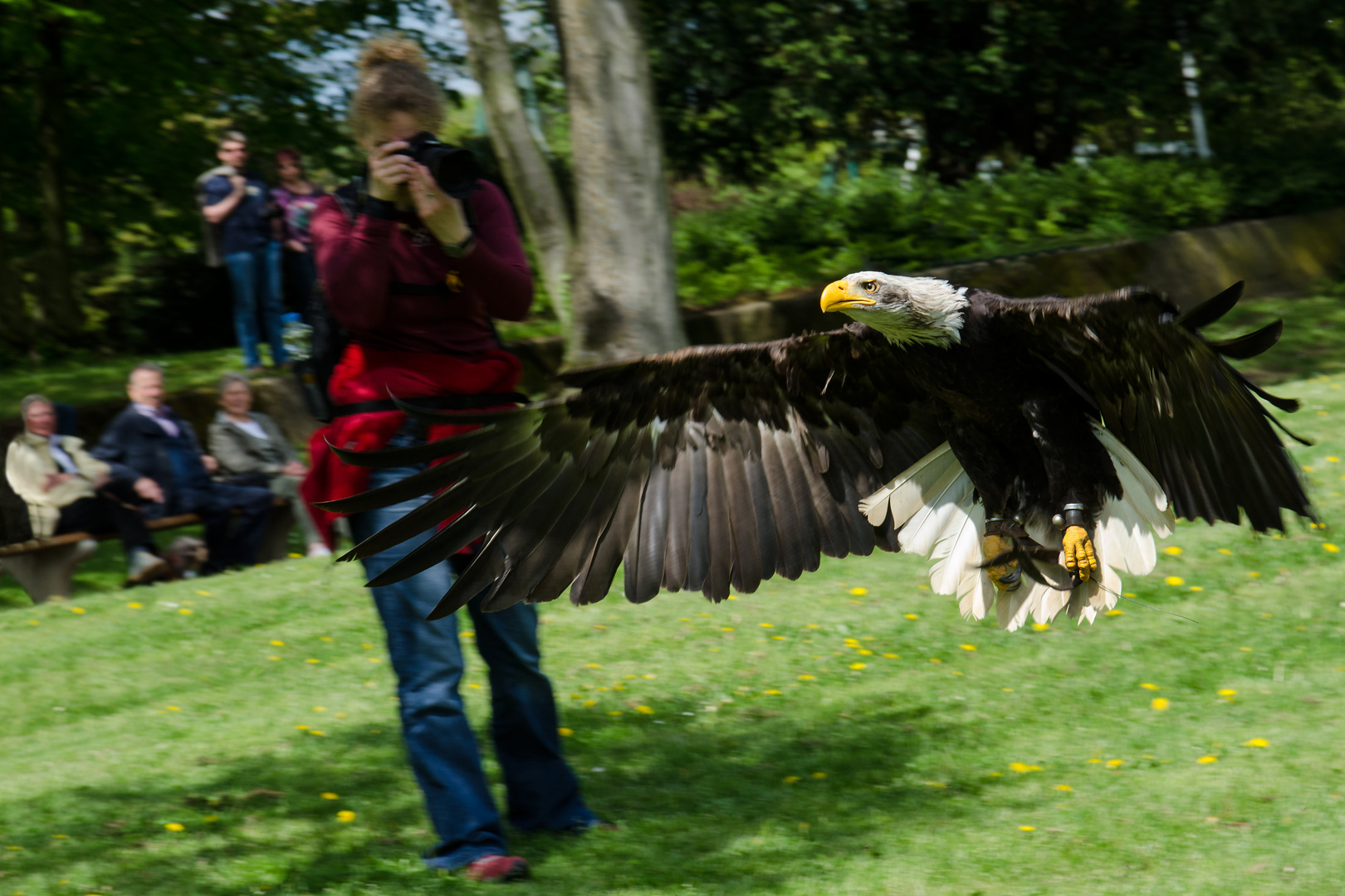 Fotogene Flugschau