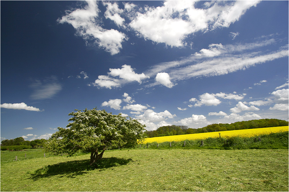 Fotogene Landschaft