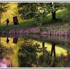 Fotograf am See...