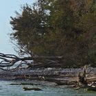 Fotograf auf Rügen