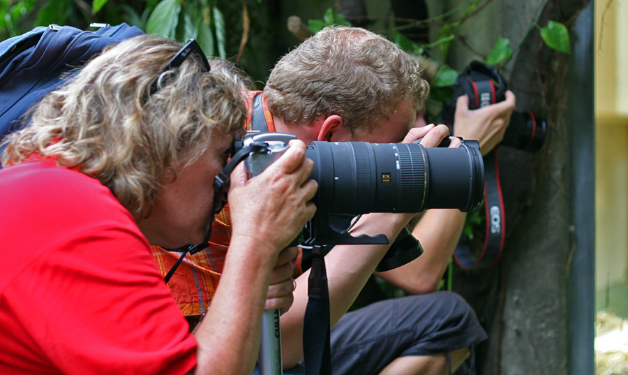 Fotograf (Homo sapiens clickibilis)