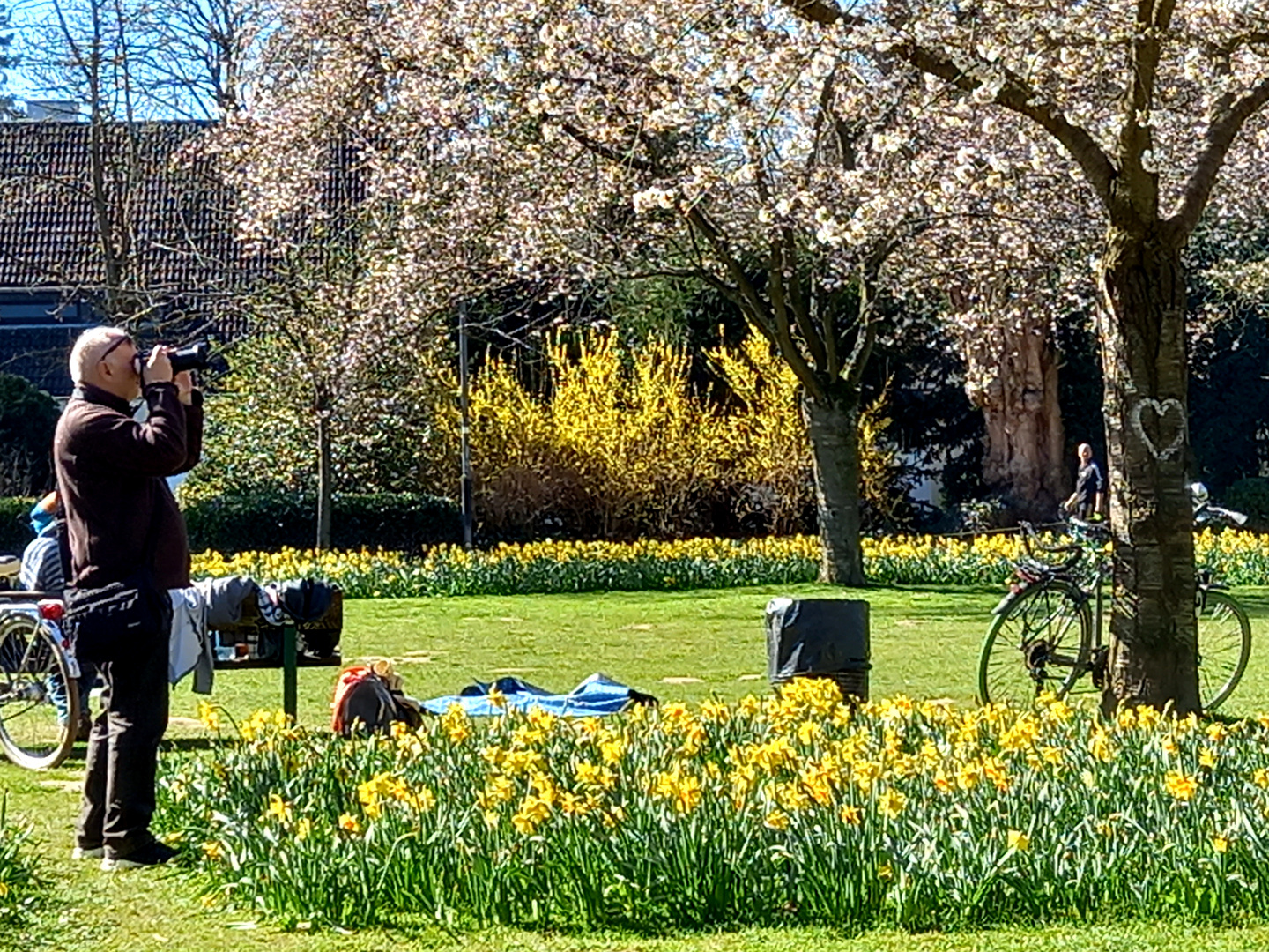 Fotograf im Frühling