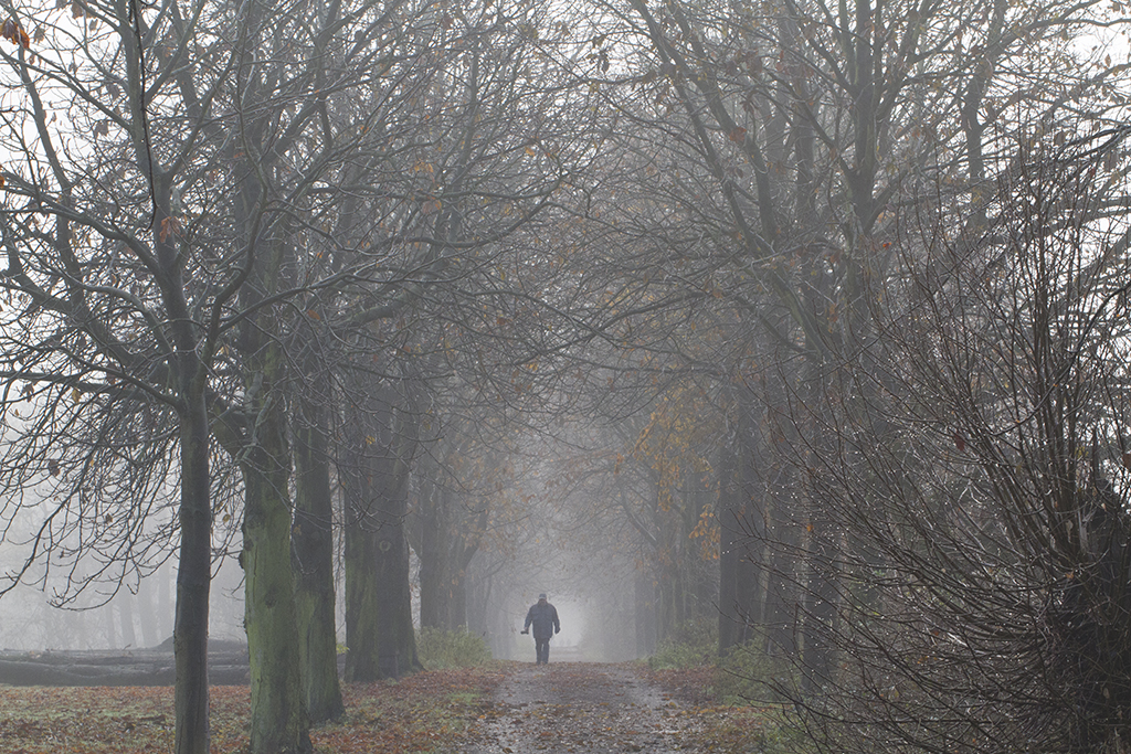 Fotograf im Herbst