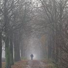 Fotograf im Herbst