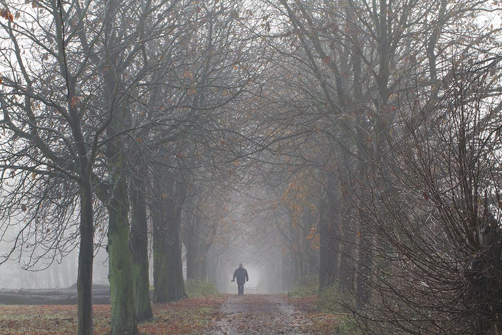 Fotograf im Herbst