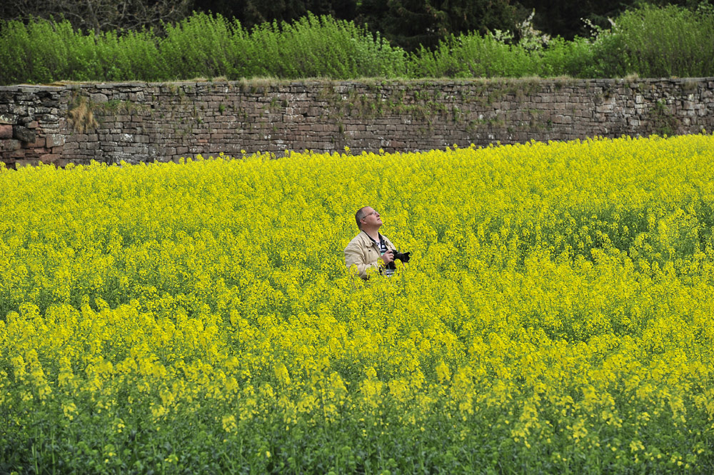 Fotograf im Rapsfeld