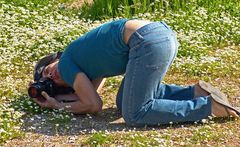 Fotograf in Gänseblümchen