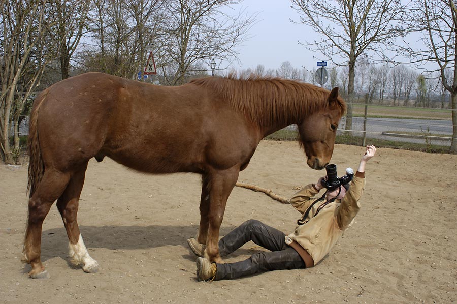 Fotograf in Gefahr #1