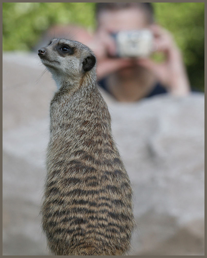 Fotograf... langweilig!