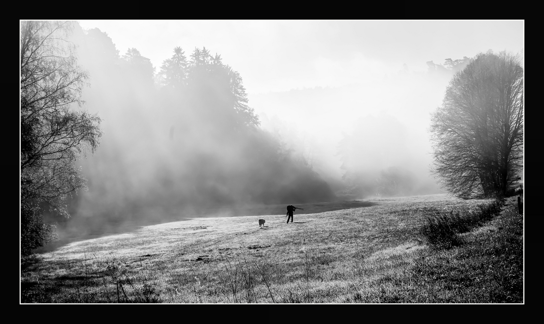 Fotograf mit Hund im Nebel