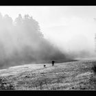 Fotograf mit Hund im Nebel