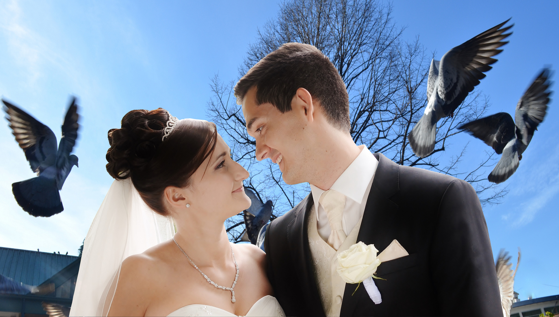 fotografa matrimonio Lago Maggiore