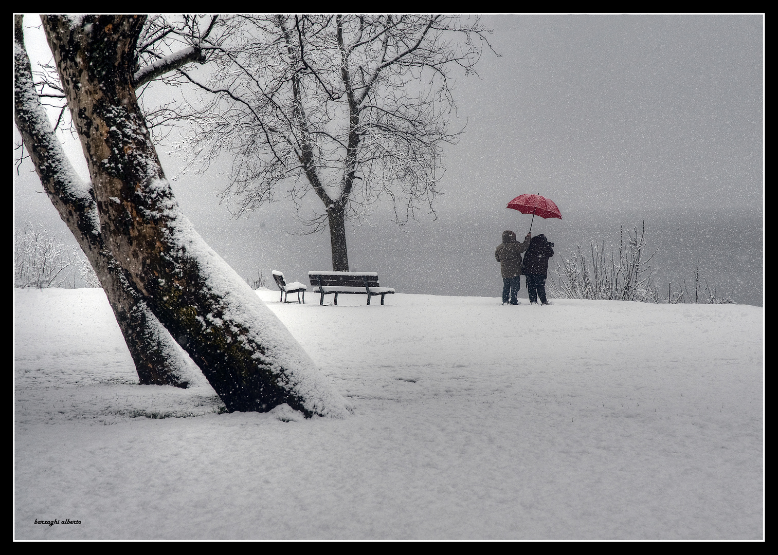  fotografare con la neve-una mia stellina