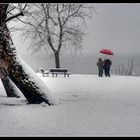  fotografare con la neve-una mia stellina