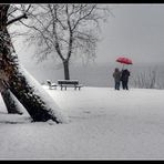  fotografare con la neve-una mia stellina