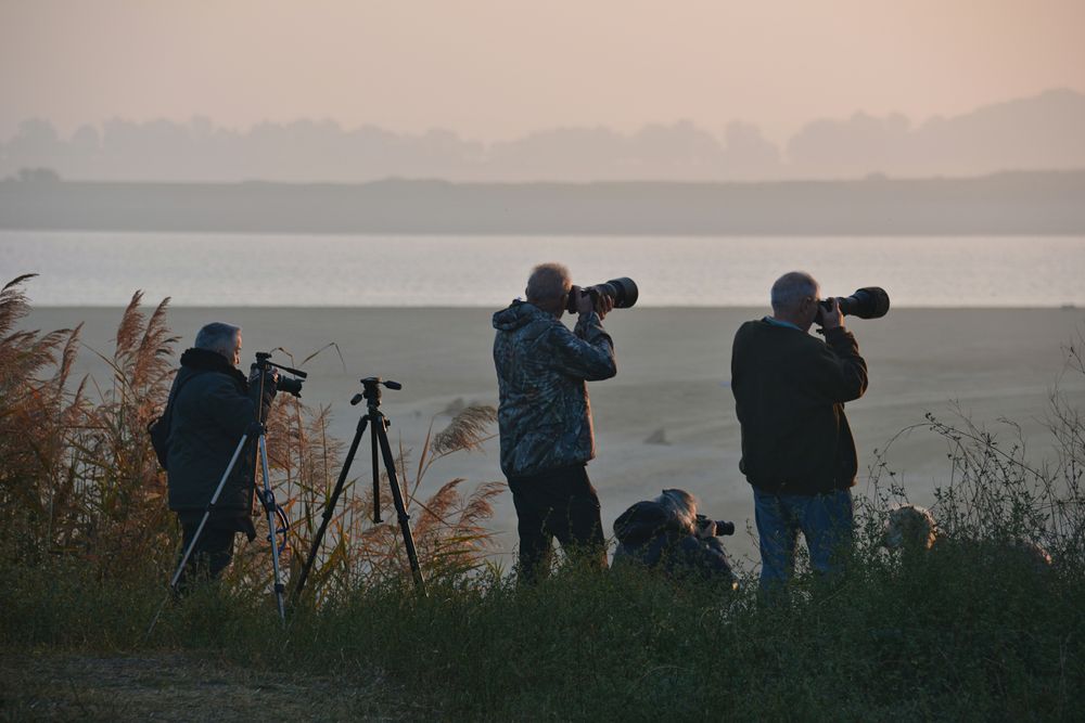 Fotografen...