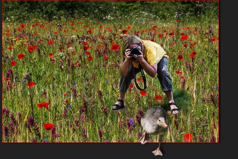 FOTOGRAFEN IM EINSATZ