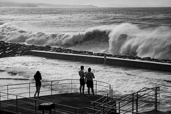 Fotografen in Aktion (8)