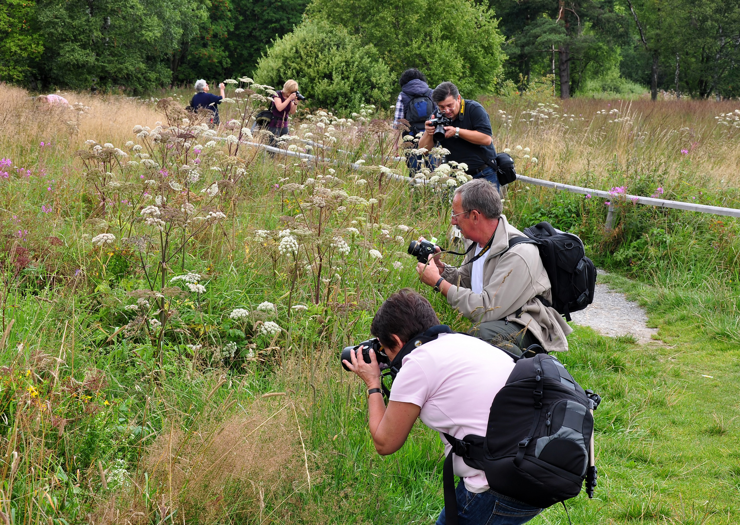 Fotografen in Reih und Glied