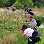 Fotografen in Reih und Glied