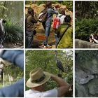 Fotografen-Überfall im Duisburger Zoo - Einsteigerkurs im April