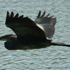 fotografenglück am silbersee...