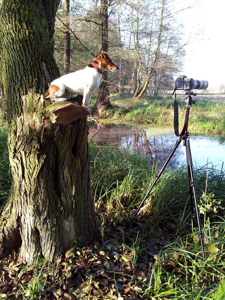 Fotografenhelfer im Einsatz