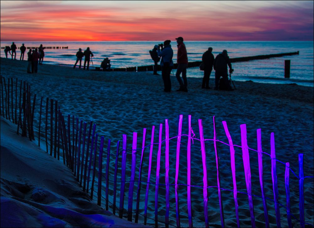 Fotografenschwemme am Abend in Zingst