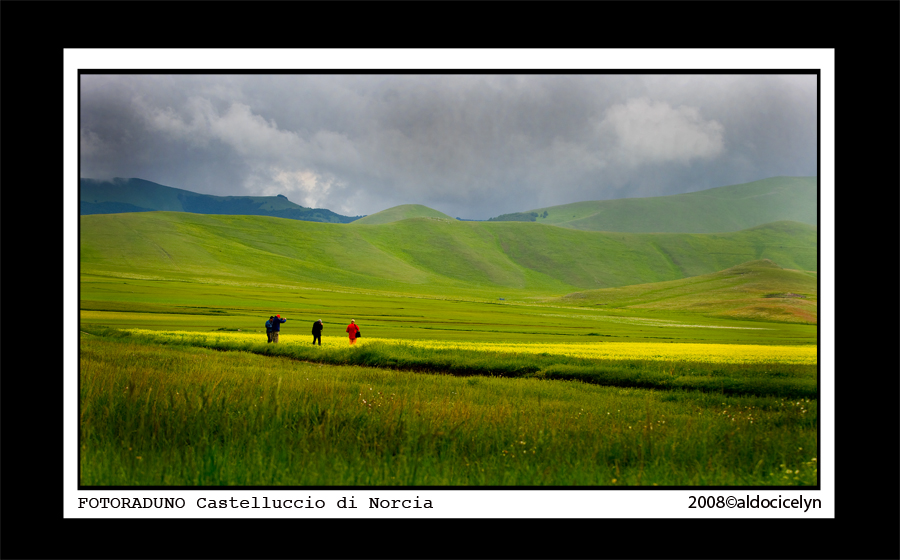 fotografi in erba