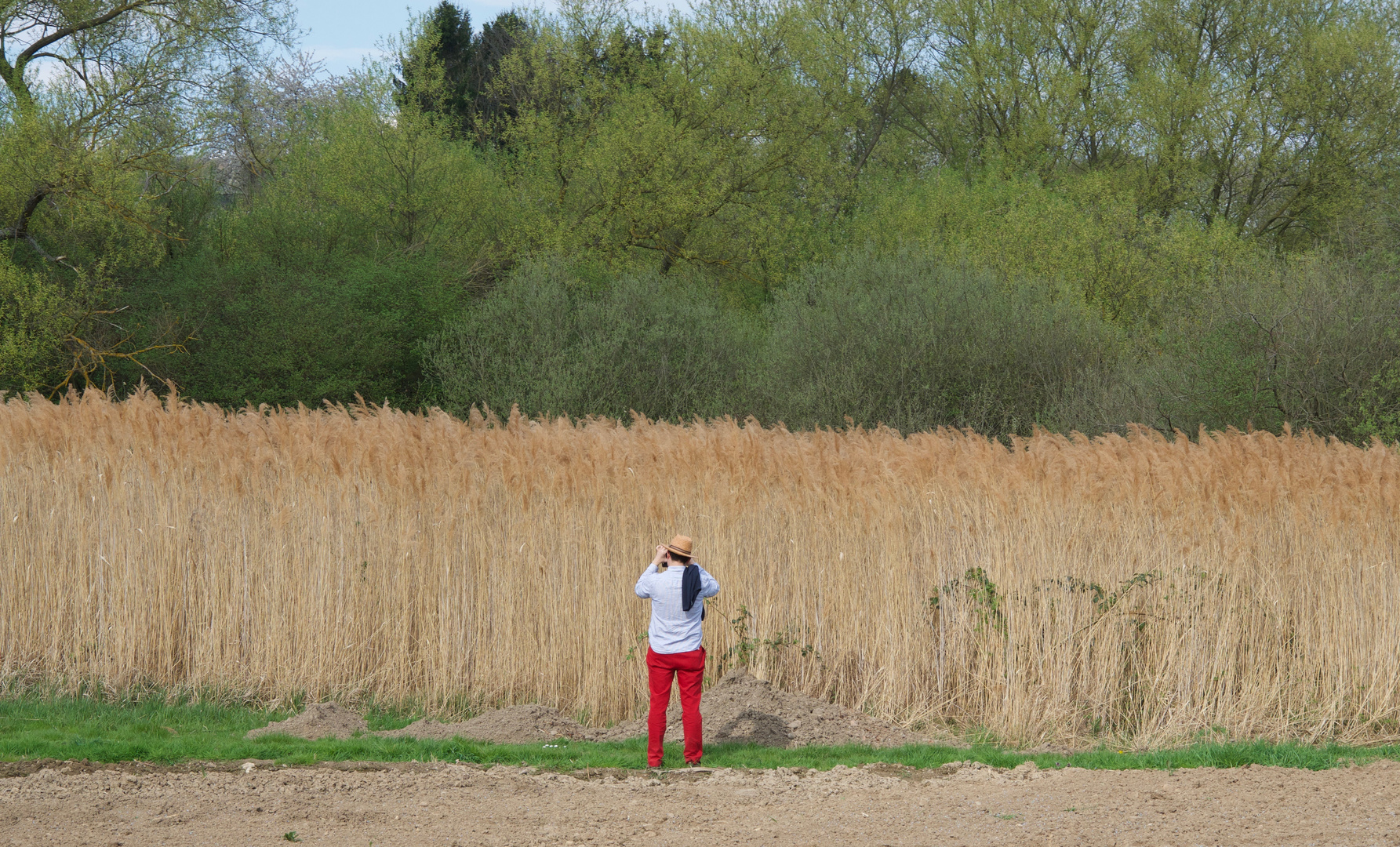 Fotografiando en el campo