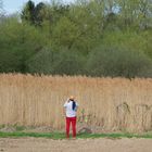 Fotografiando en el campo