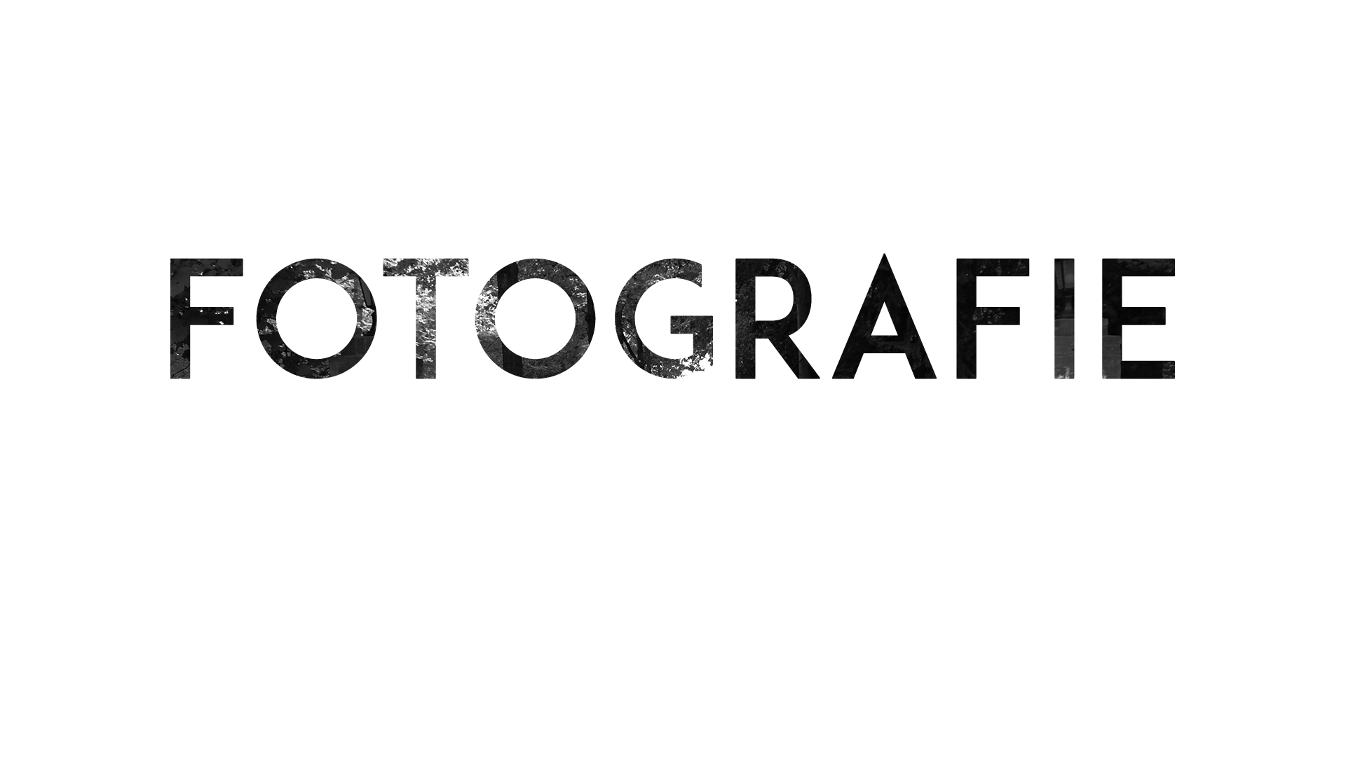 FOTOGRAFIE