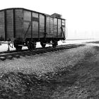 Fotografie di Campo Mostra su Auschwitz, Pizzorno Giulio