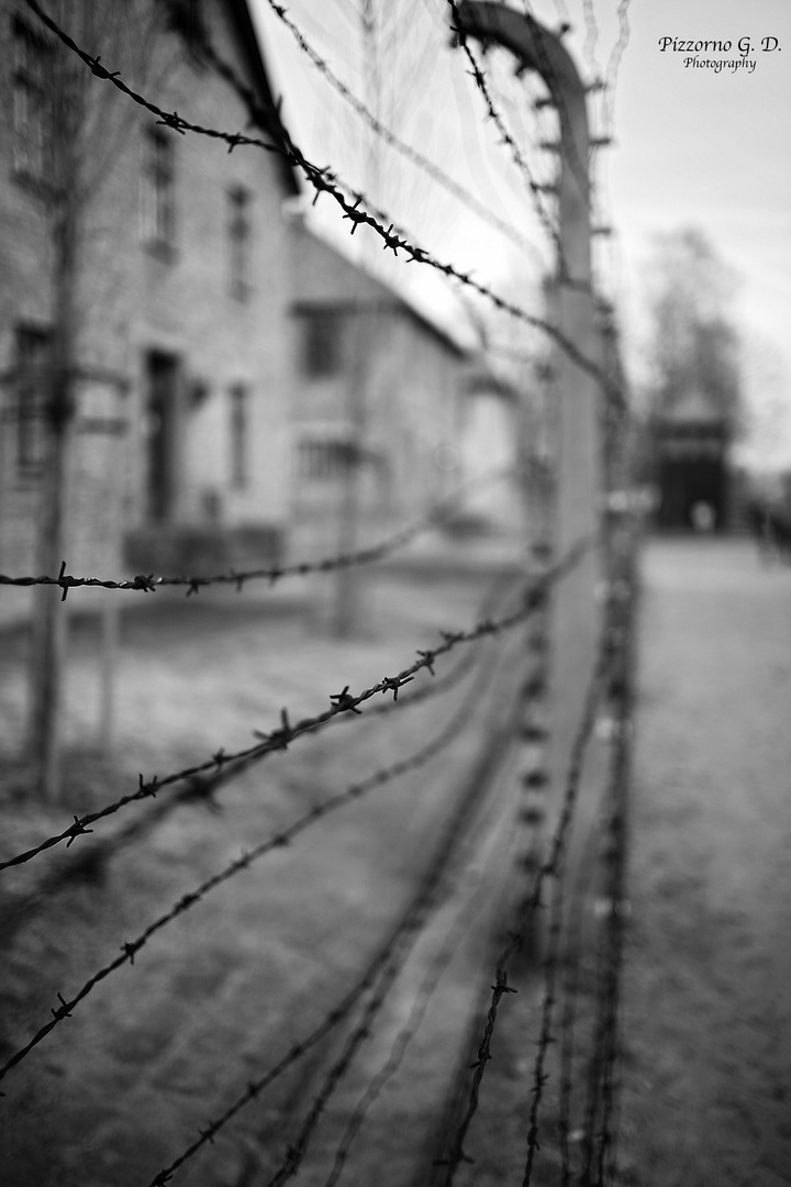 Fotografie di Campo Mostra su Auschwitz, Pizzorno Giulio