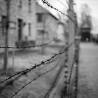 Fotografie di Campo Mostra su Auschwitz, Pizzorno Giulio