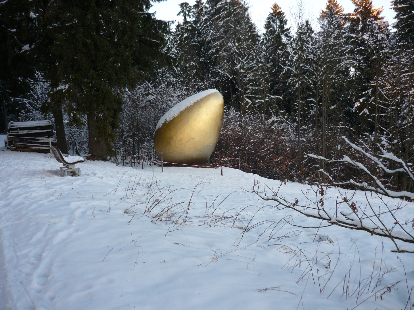 Fotografie: Natur Wald - Tittel: Das goldene Ei