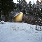 Fotografie: Natur Wald - Tittel: Das goldene Ei