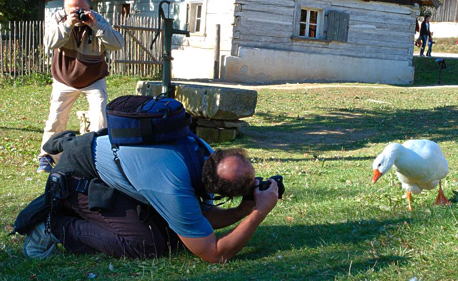 Fotografie-Reihenschaltung