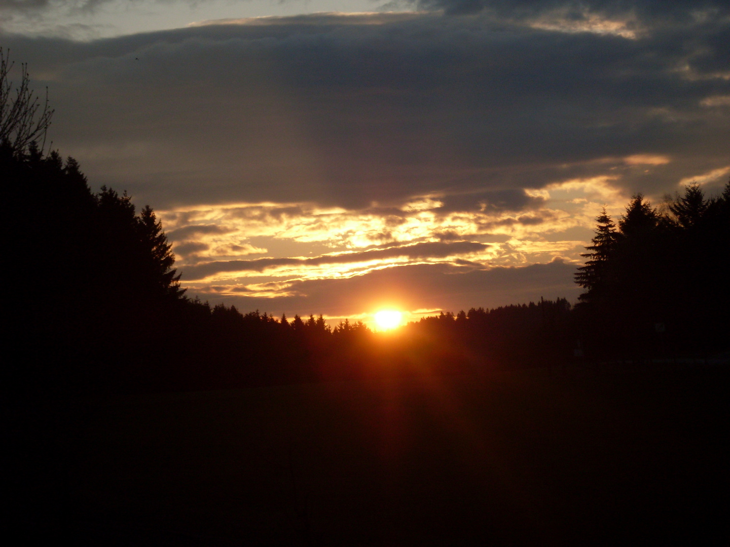 Fotografie: Sonnenuntergang Wald 002