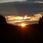 Fotografie: Sonnenuntergang Wald 002