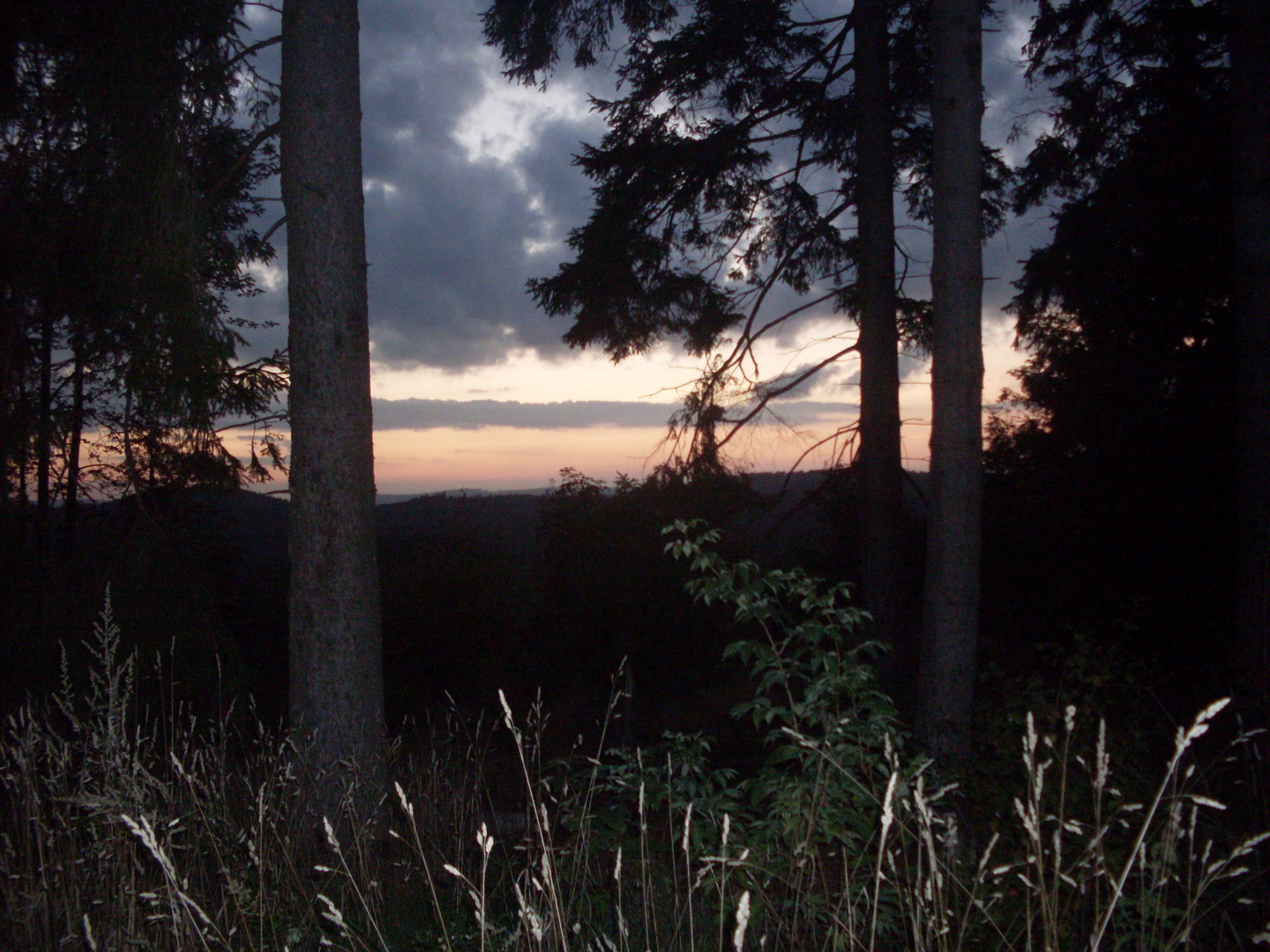 Fotografie.: Waldfenster am Abend 001