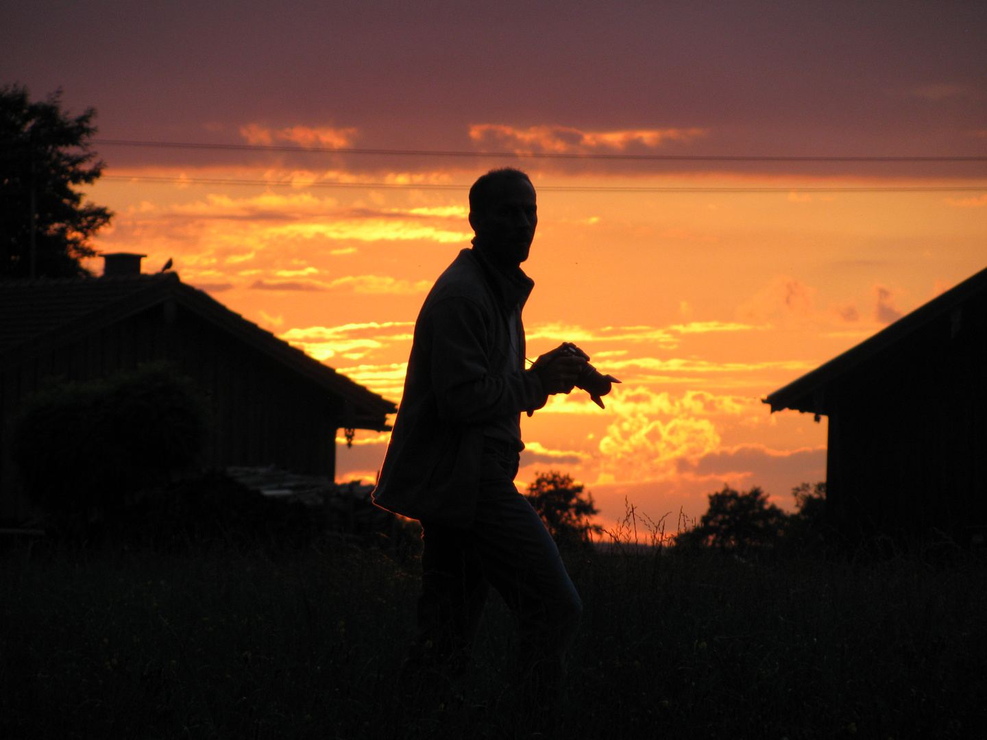 Fotografieren im Sonnenuntergang