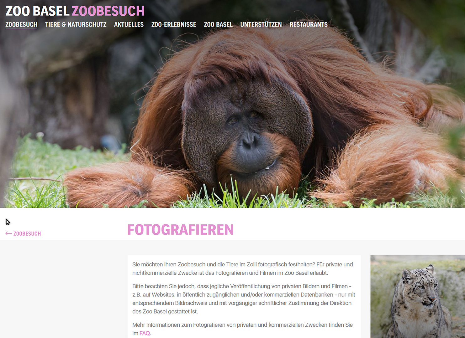 Fotografieren im Zoo Basel + Zürich