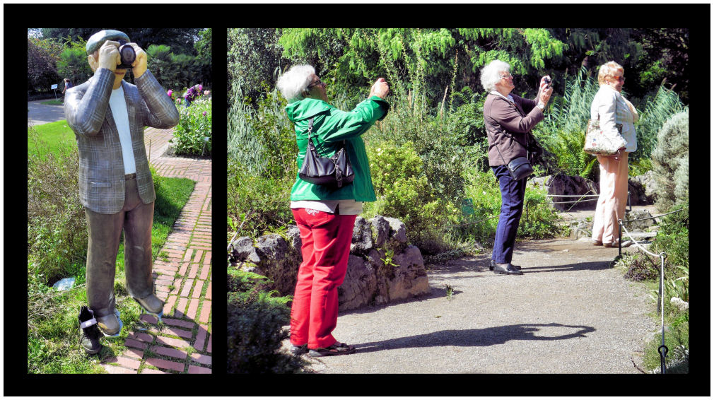 Fotografieren in der Kölner Flora