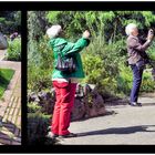 Fotografieren in der Kölner Flora