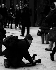 fotografieren...zum niederknien schön