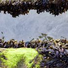 fotografiert am Strand auf der Insel Föhr