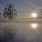 Fotografiert an einem nebeligen Morgen....