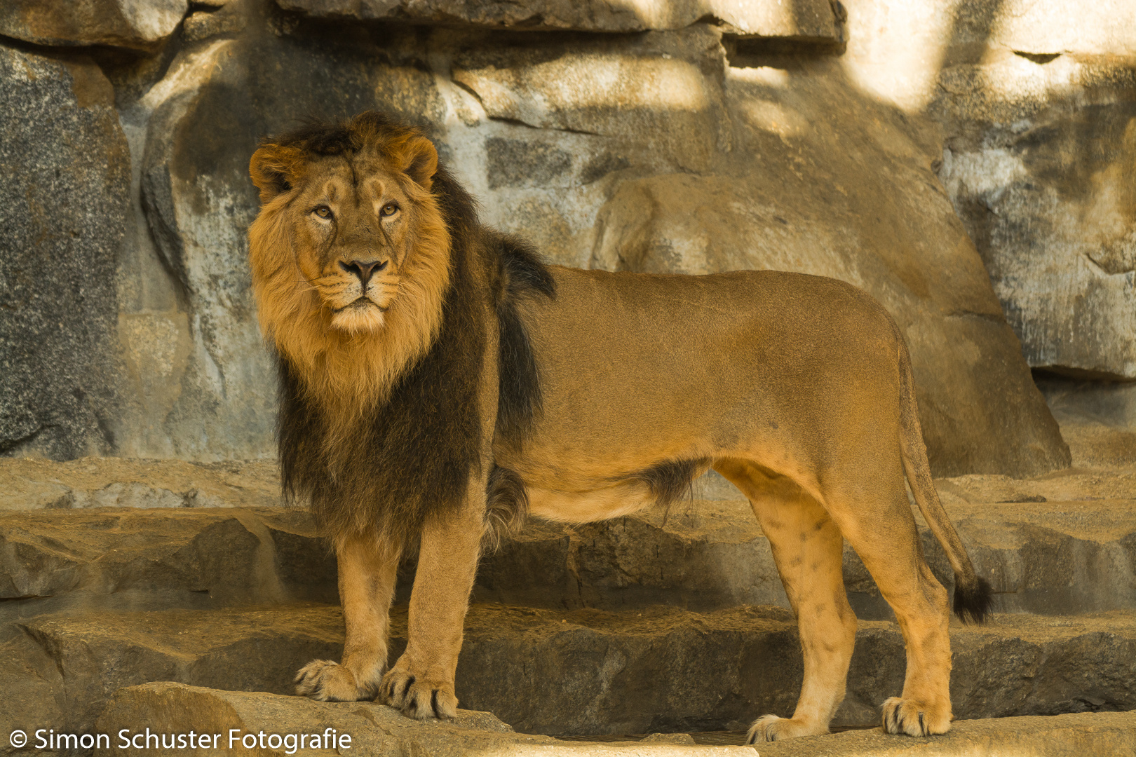 Fotografiert aus dem Berliner Tierpark