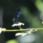 Fotografiert gestern in Olimpo, Türkei